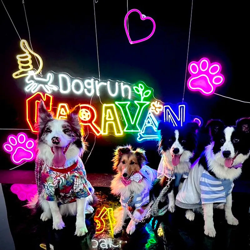 Neon sign used at a pet event at Yokohama Red Brick Warehouse
