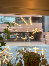 画像をギャラリービューアに読み込む, 店内から見た鍼灸院のネオンサインロゴ