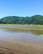 画像をギャラリービューアに読み込む, 山と田んぼののどかな景色