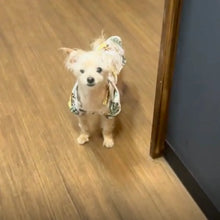 画像をギャラリービューアに読み込む, クリッパーズトウキョウ 看板件 キャロル