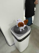 Load image into Gallery viewer, 店内インテリア