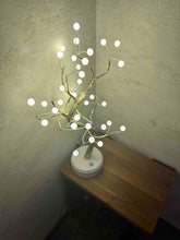 画像をギャラリービューアに読み込む, ガリネット店内4