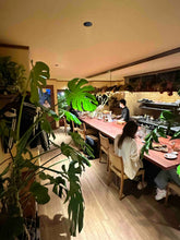 画像をギャラリービューアに読み込む, ガリネット店内・キッチン