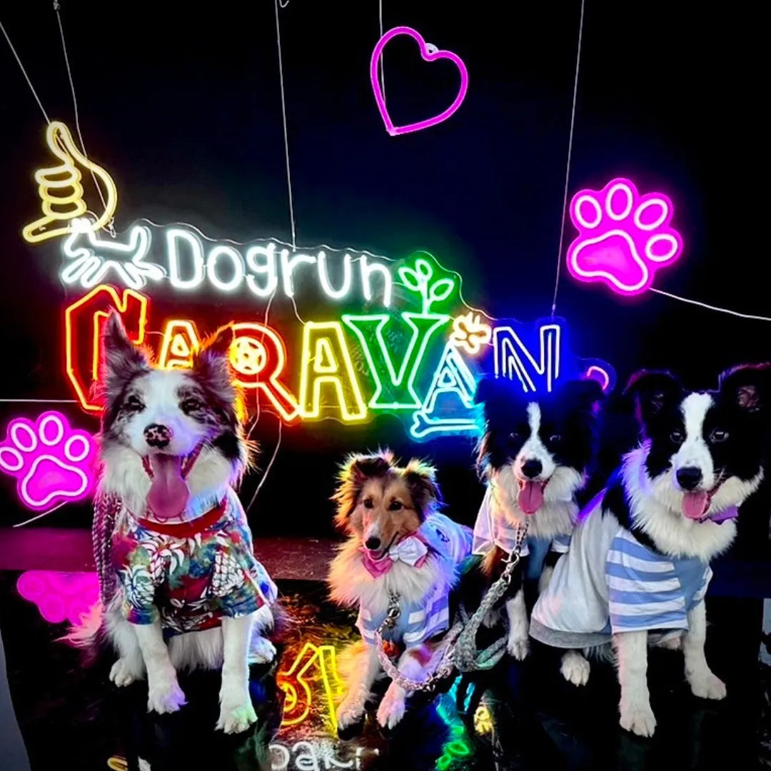 neonpark - event
