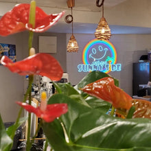 Load image into Gallery viewer, カフェ＆バー店内に設置されたレイボーカラーのネオンサインロゴ
